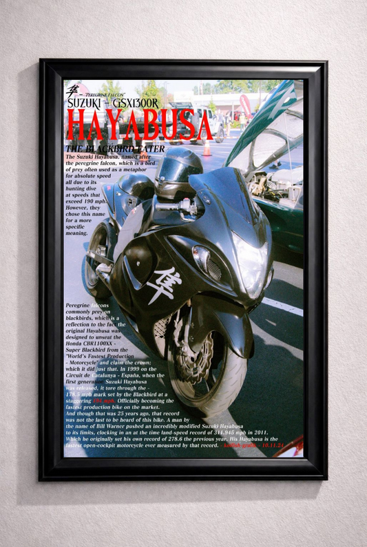 HAYABUSA